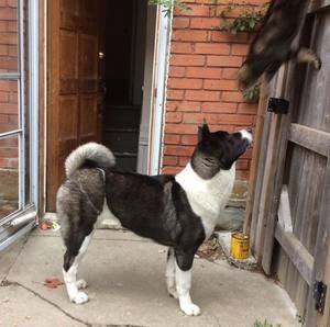 Meet your Posher, Katty